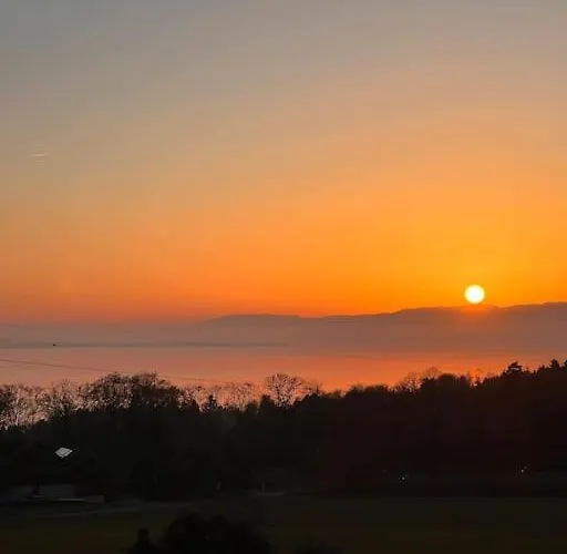 Daire Spacieux A Lausanne