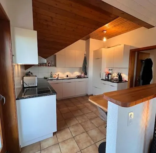 Spacieux A Lausanne * Pully