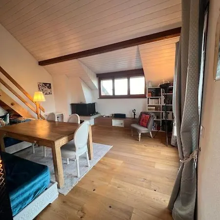 Spacieux A Lausanne Appartement