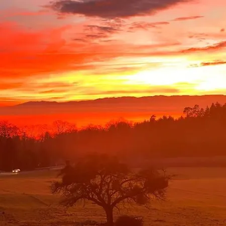Spacieux A Lausanne Appartement *
