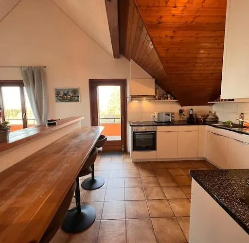 Spacieux A Lausanne Appartement Pully