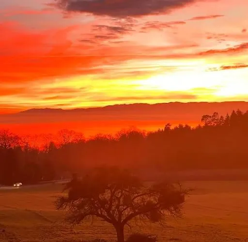 Spacieux A Lausanne Appartement *
