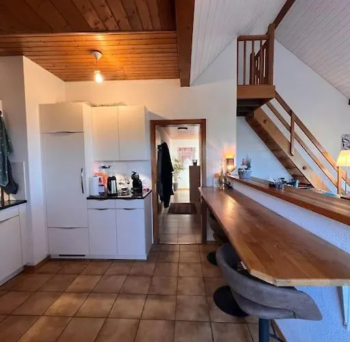 Appartement Spacieux A Lausanne *